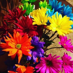 Meet your Posher, Leah